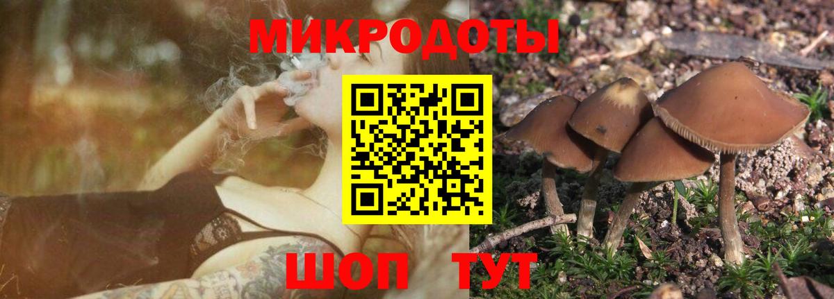 Норильск  продажа наркотиков  Вход с VPN  Галлюциногенные грибы Cubensis 